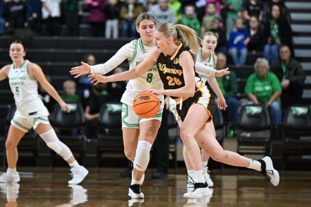 aop_SandvikHenna20270227